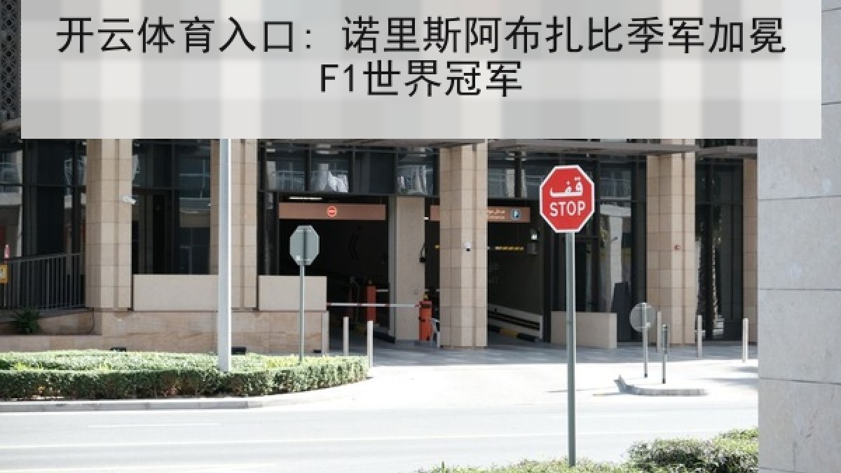 开云体育入口: 诺里斯阿布扎比季军加冕F1世界冠军