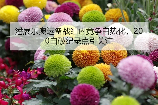潘展乐奥运备战组内竞争白热化，200自破纪录点引关注